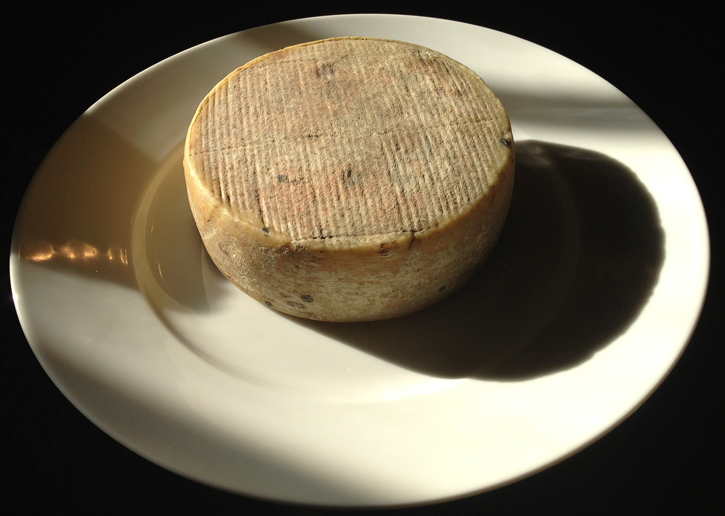 Wheel of cheese on a white plate